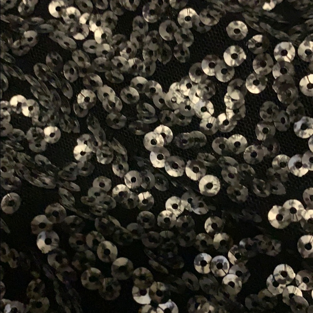 Zara Basic Sequin Shorts - image 3